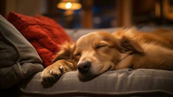 foto di un' assonnato cane accogliente coccole su un' comodo divano nel un' accogliente vivente camera. generativo ai
