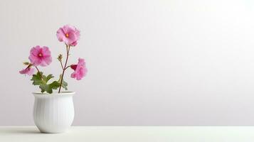 foto di altea rosata fiore nel pentola isolato su bianca sfondo. generativo ai