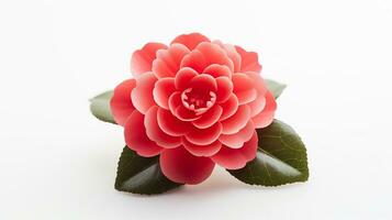 foto di bellissimo camelia fiore isolato su bianca sfondo. generativo ai