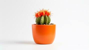 foto di cactus fiore fiore isolato su bianca sfondo. generativo ai