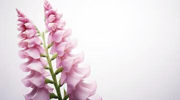 foto di bellissimo digitale fiore isolato su bianca sfondo. generativo ai