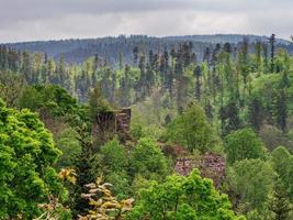 rovine del castello medievale di nidek nelle montagne dei Vosgi, alsazia foto