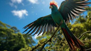 foto di quetzal nel là foresta con blu cielo. generativo ai