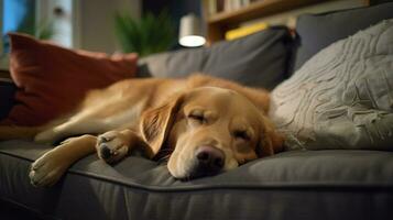 foto di un' assonnato cane accogliente coccole su un' comodo divano nel un' accogliente vivente camera. generativo ai