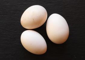 tre uova di gallina nana foto
