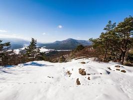 foresta invernale nelle montagne dei vosgi, francia foto