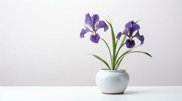 foto di iris fiore nel pentola isolato su bianca sfondo. generativo ai