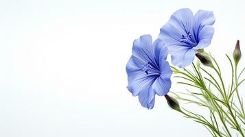foto di bellissimo lino fiore isolato su bianca sfondo. generativo ai