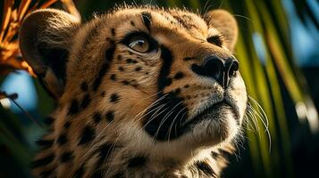 avvicinamento foto di un' ghepardo guardare qualunque direzione su giungla. generativo ai