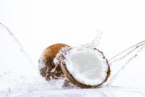 cocco in tavola foto