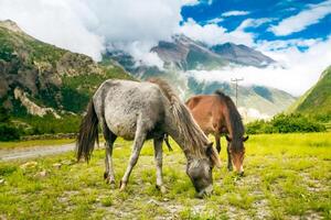 bellissimo paesaggio asiatico foto