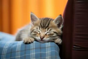 vicino su tiro di carino gattino addormentato su il divano. ai generato. foto
