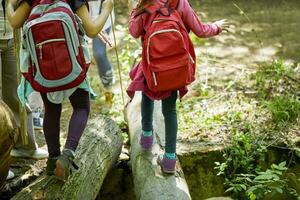 ragazze con zaini equilibratura su logs nel foresta foto