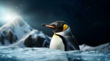 avvicinamento ritratto di un elegante imperatore pinguino. ai generato foto