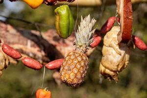 torrefazione ananas sospeso su all'aperto barbecue foto