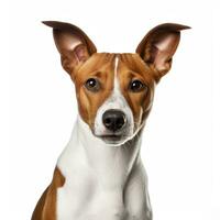 astratto cane cucciolo acquerello arte ritratto colorato bianca sfondo ai generativo foto