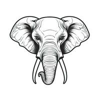 adorabile elefante con occhiali e lungo ciglia foto