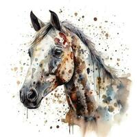 grazioso appaloosa cavallo nel acquerello su bianca sfondo foto