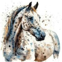 grazioso appaloosa cavallo nel acquerello su bianca sfondo foto