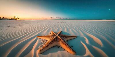 scintillante stella marina su un' bellissimo Maldive spiaggia foto