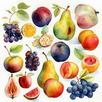 delicato acquerello frutta collezione ogni frutta un' unico genere Perfetto per cucina arredamento foto