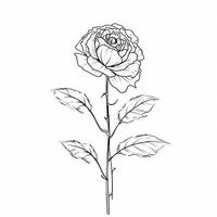 minimalista nero lineare design di rosa fiore nel continuo linea arte disegno stile foto