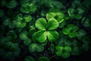 cinematico tiro di altamente dettagliato verde Quattro foglia trifoglio per st patricks giorno ai generato foto