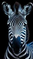 collage di zebre su buio sfondo ai generato foto