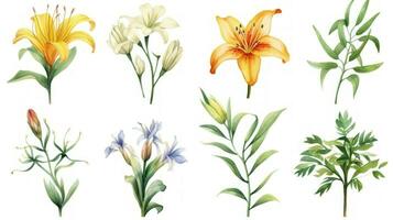 camerun fiori collezione acquerello impostato su un' pulito bianca sfondo con acuto Linee e centrato Visualizza Perfetto per floreale design progetti generativo ai foto