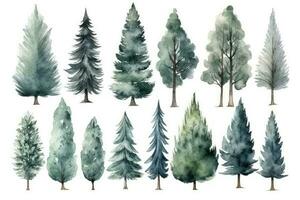 disegnato a mano acquerello pino alberi collezione un' foresta di pino alberi imballare di 6 generativo ai foto