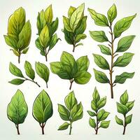 cartone animato stile verde le foglie clipart su bianca sfondo ai generato foto