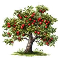 acquerello Mela albero clipart su bianca sfondo ai generato foto