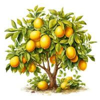 vivace Limone albero clipart su bianca sfondo ai generato foto