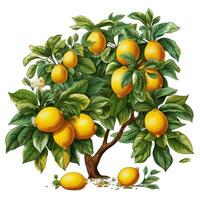 vivace Limone albero clipart su bianca sfondo ai generato foto