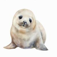 adorabile acquerello dipinto a mano bambino foca clipart su bianca sfondo ai generato foto