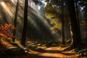 foto di il autunno montagna foresta, foresta fiume, muschioso pietre, sole raggi sfondo