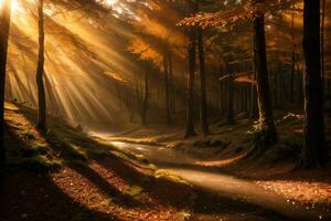 foto di il autunno montagna foresta, foresta fiume, muschioso pietre, sole raggi sfondo
