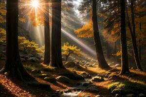 foto di il autunno montagna foresta, foresta fiume, muschioso pietre, sole raggi sfondo