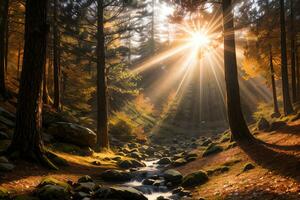 foto di il autunno montagna foresta, foresta fiume, muschioso pietre, sole raggi sfondo