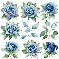 acquerello blu Rose clipart foto