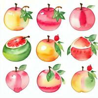 acquerello frutta clipart foto