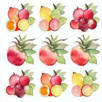 acquerello frutta clipart foto