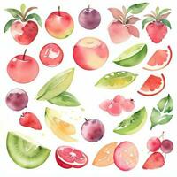 acquerello frutta clipart foto