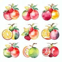 acquerello frutta clipart foto