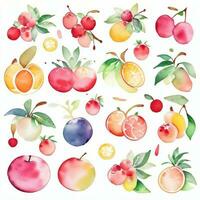 acquerello frutta clipart foto