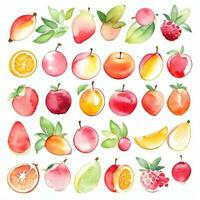 acquerello frutta clipart foto