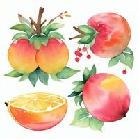 acquerello frutta clipart foto