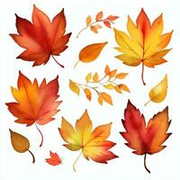 acquerello autunno le foglie clipart foto