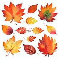 acquerello autunno le foglie clipart foto