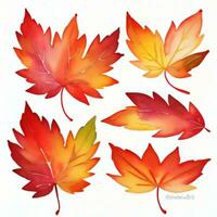 acquerello autunno le foglie clipart foto